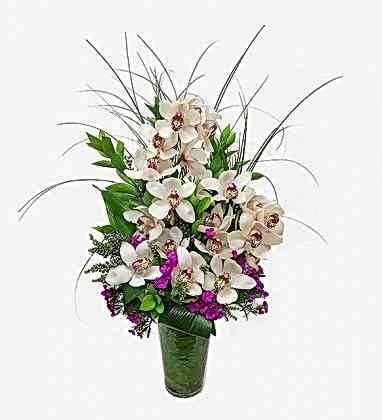 Cymbidium Orkide ve Yeşillikler ile Aranjman