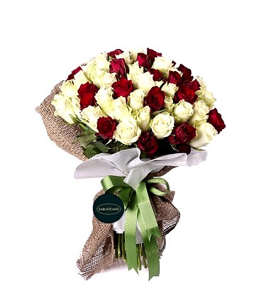 Red And White Love