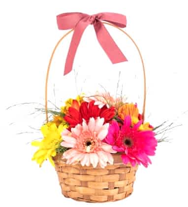 Renkli Gerbera Sepeti