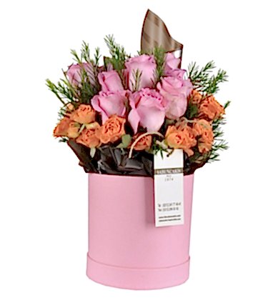 Stunning Surprise