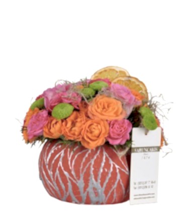 Rose Radiance Güller