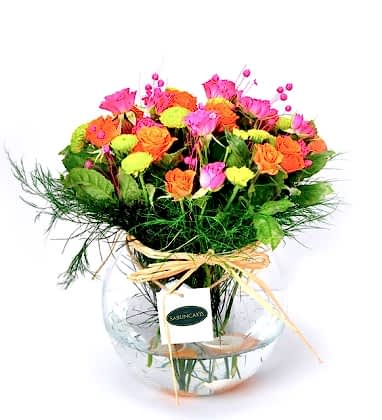 Wonderful Colorful Roses