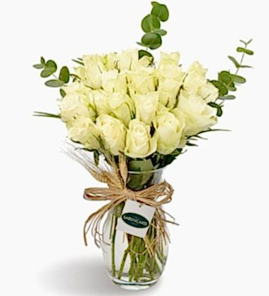 White Roses