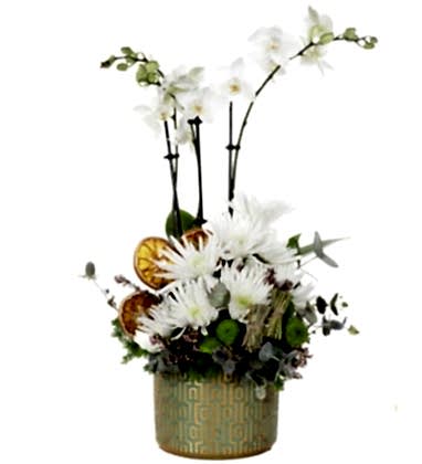 White Midi Orchid