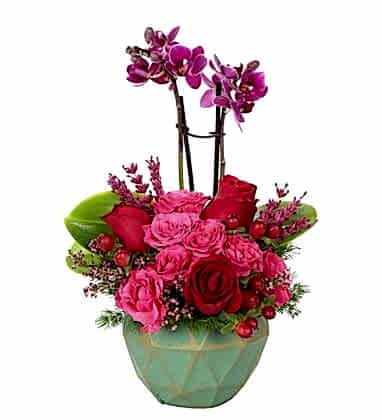 Mini Orchid Mini Roses