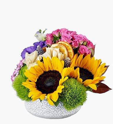 Fresh Pink Sunflower 