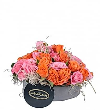 Rose Colors