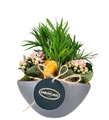 Sweet Palms Kalonche