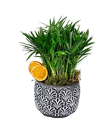 Desenli Seramikte Palms