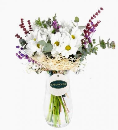 White Daisies