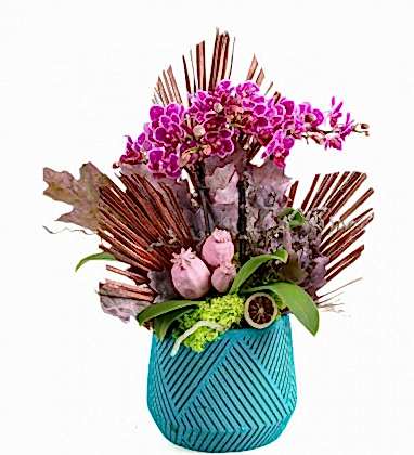 Purple Love Mini Orkide