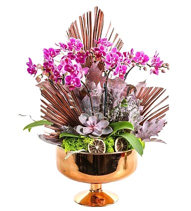 Mini Luxury Orchid