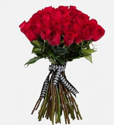 Red Love Roses