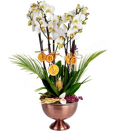 Bakır Design White Deluxe Orkideler