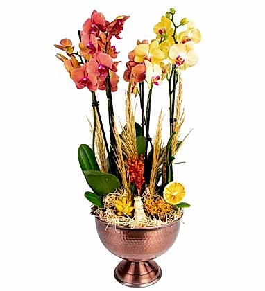 Premium Bakır Design Orchid