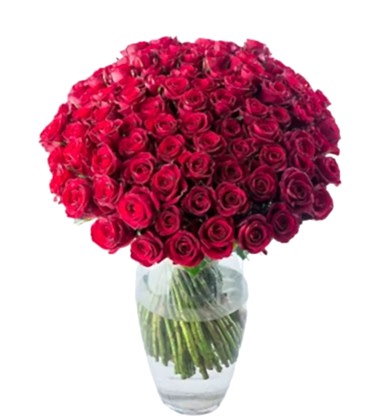 100 Red Roses 