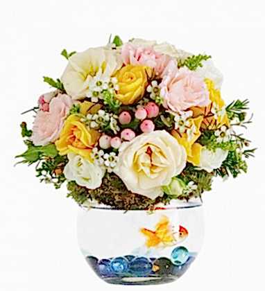 Your Fish Flores