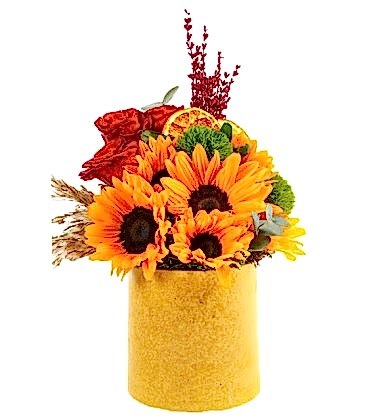 Summer Sunflower